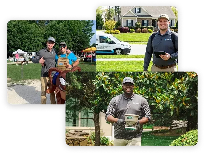 Work shared by ClearDefense Pest Control