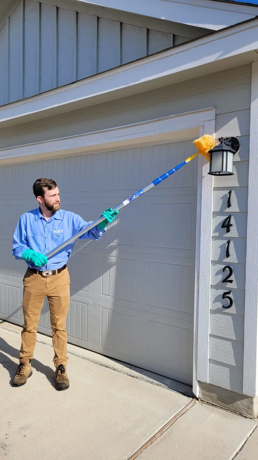 Work shared by Stride Pest Control