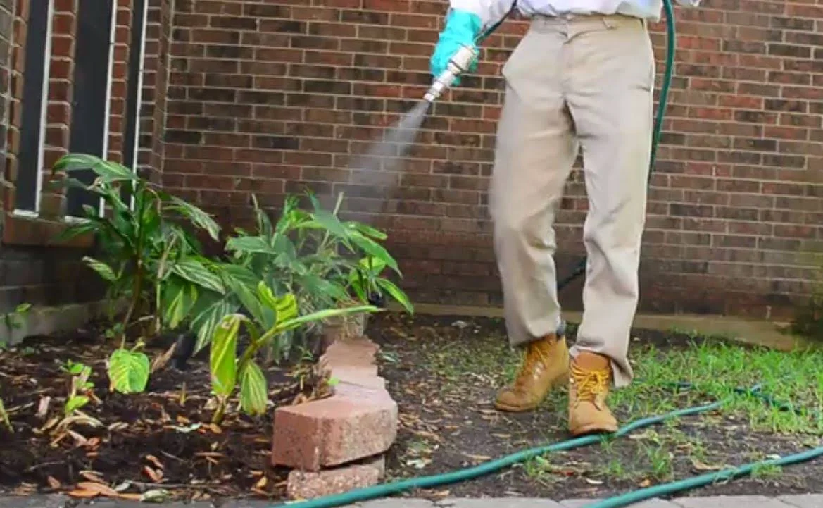 Work shared by Bulwark Exterminating