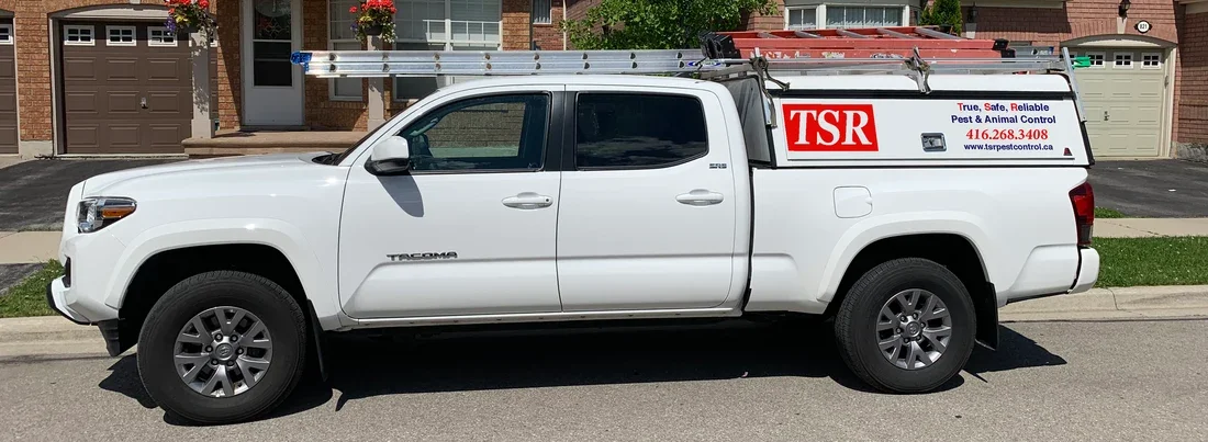 Work shared by TSR Pest Control
